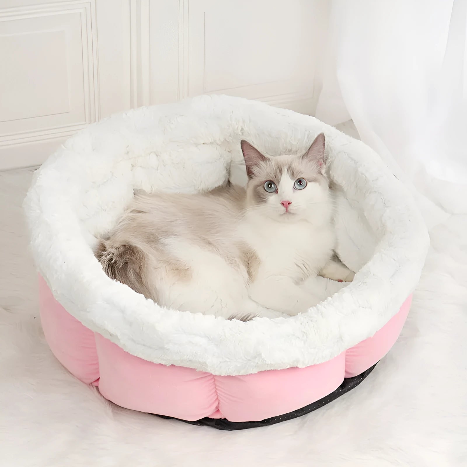 Petal cat mat in grey with raised edges for cat or small dog, 48x49x25cm plush pet nest