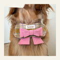 My Maillard Puppy Bow Bib polyester pet collar in gift colour, adjustable from 15cm to 50cm neck size, with attached bow