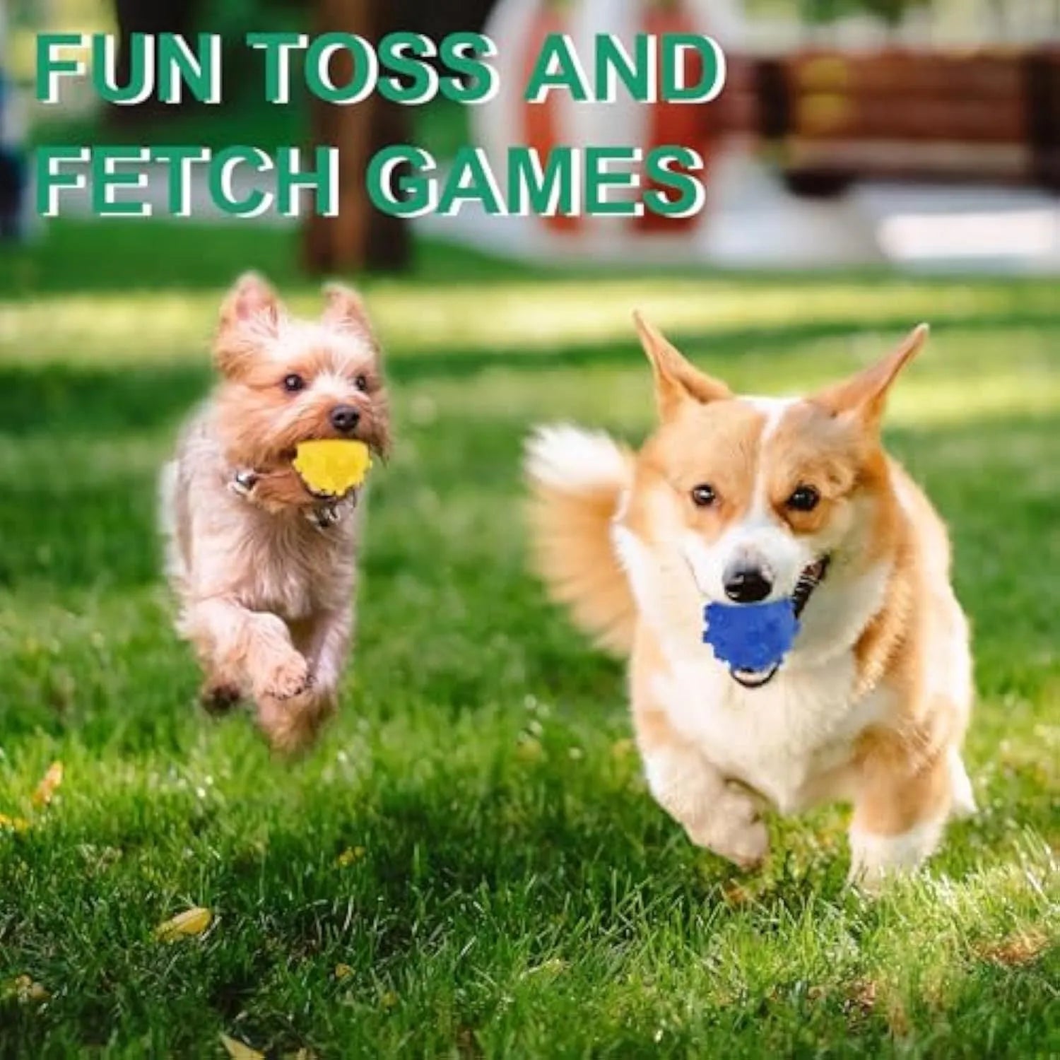 Set of four brightly coloured squeaky dog balls with a textured surface, shown next to a small dog.