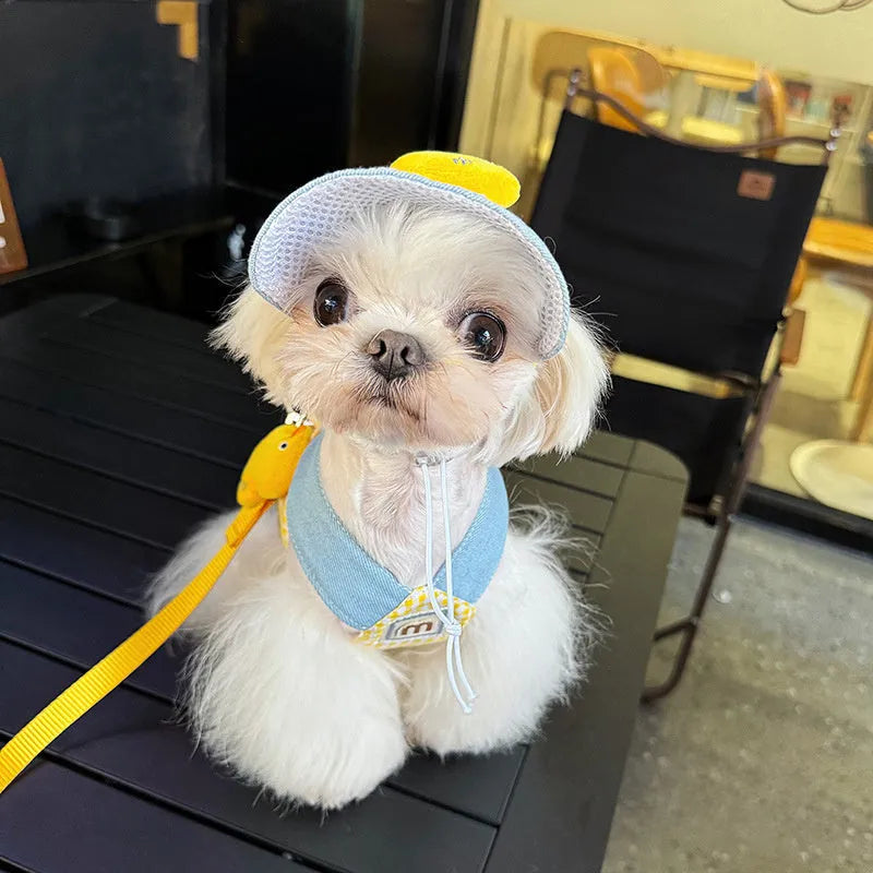 Pet harness and leash set with wire rope pulling rope, matching cat clothes and hat for dogs and cats