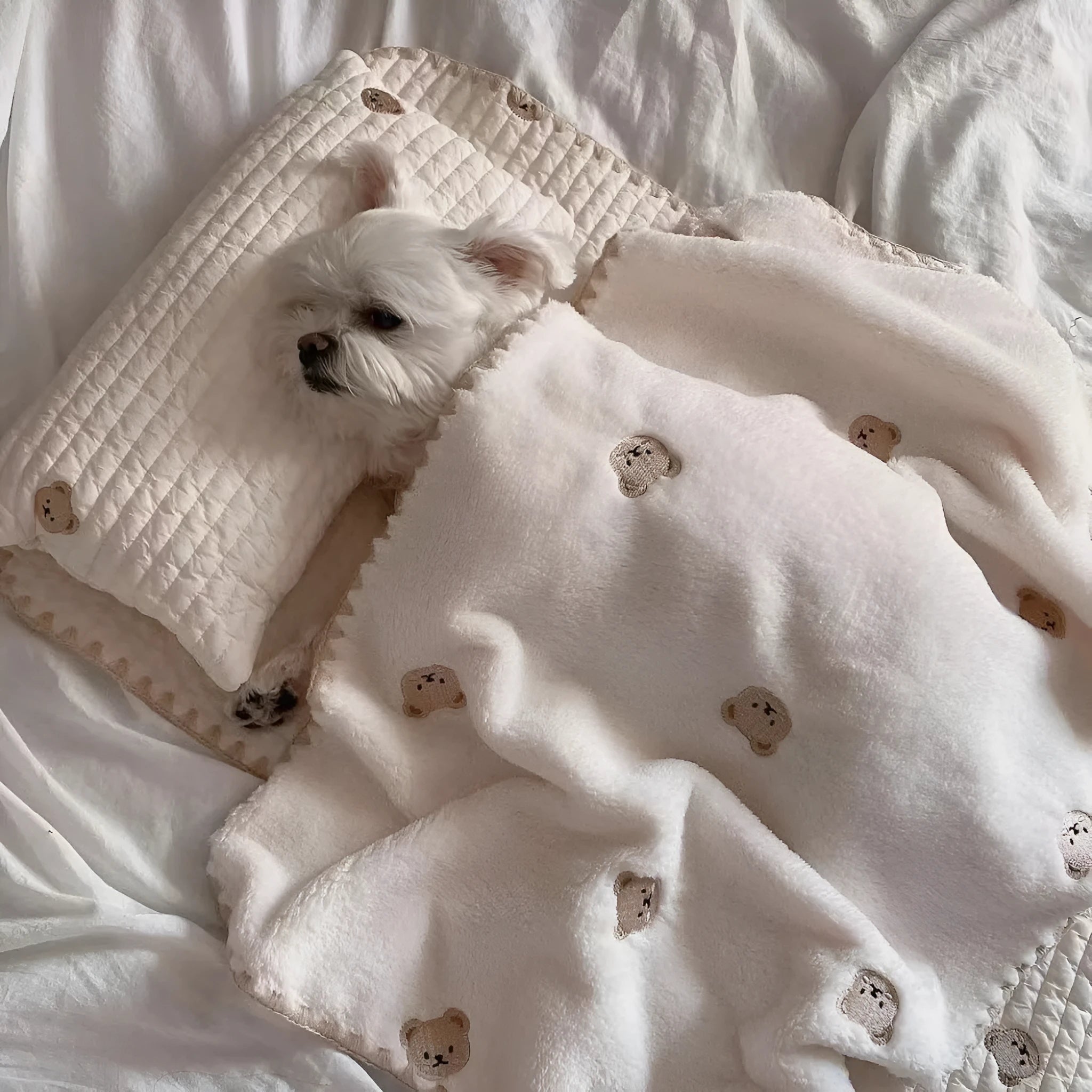 Simple Bear design dog bed set with pillow, mattress, and washable comforter in fashion square mat style