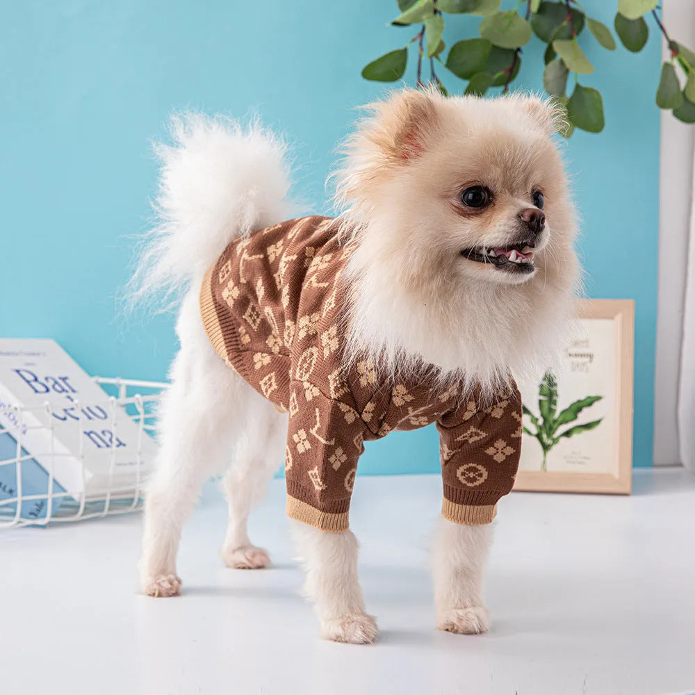 A dog wearing a thick, long-sleeve woollen sweater in a neutral colour.
