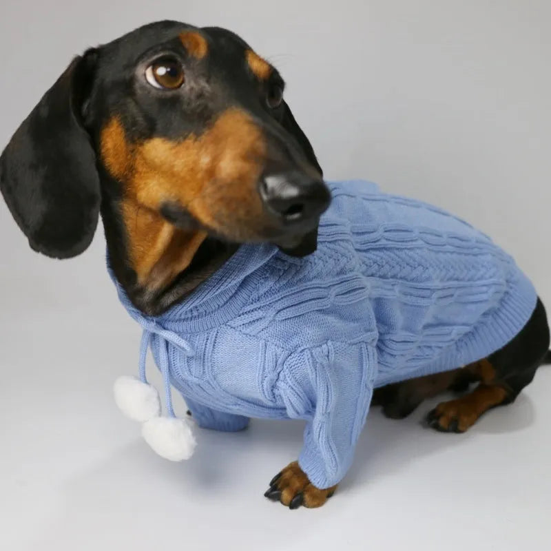 Autumn winter two-leg hooded sweater for dogs in beige colour showing hood and blended fabric
