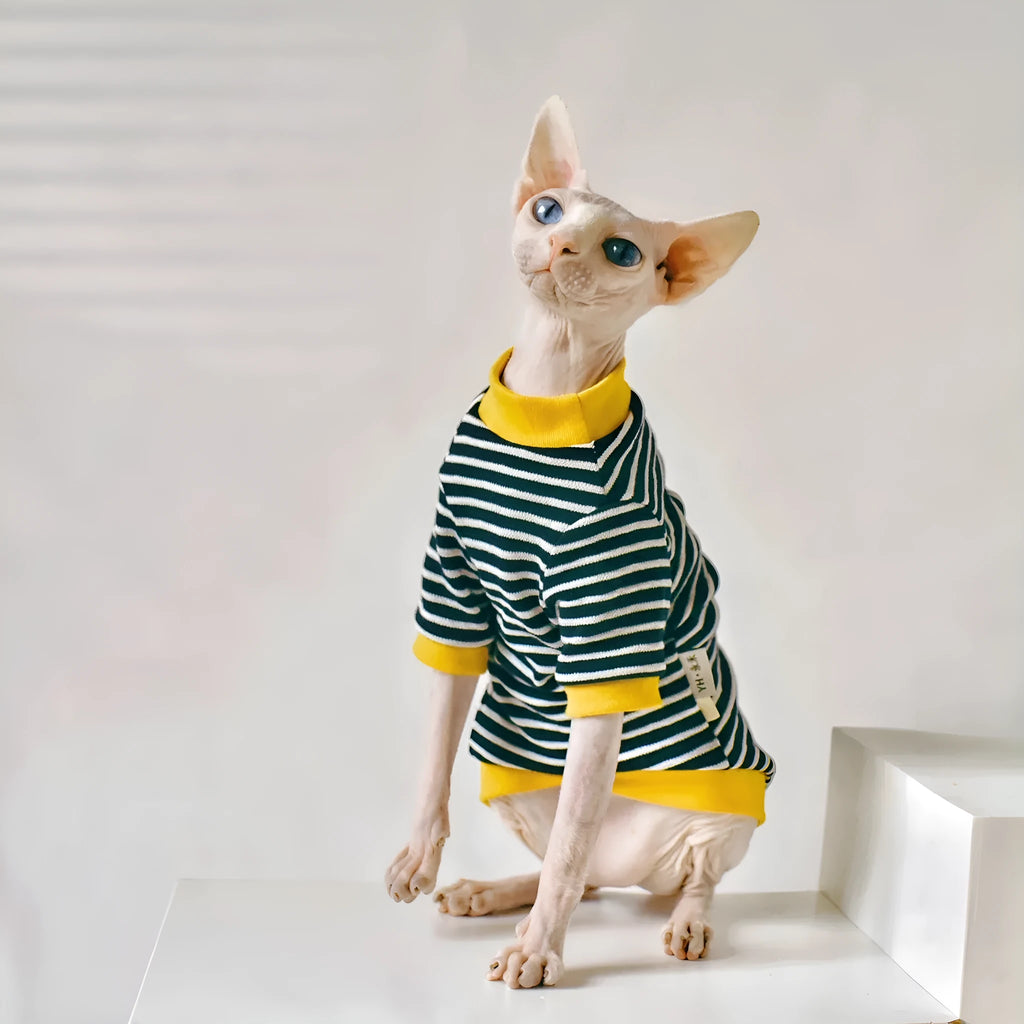 Black cotton sweater for Sphinx hairless cat, available in multiple sizes from XS to XXL