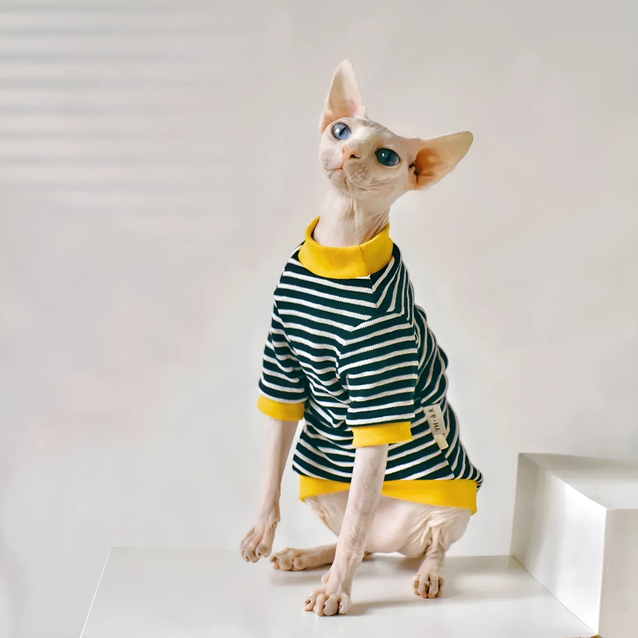 Black cotton sweater for Sphinx hairless cat, available in multiple sizes from XS to XXL