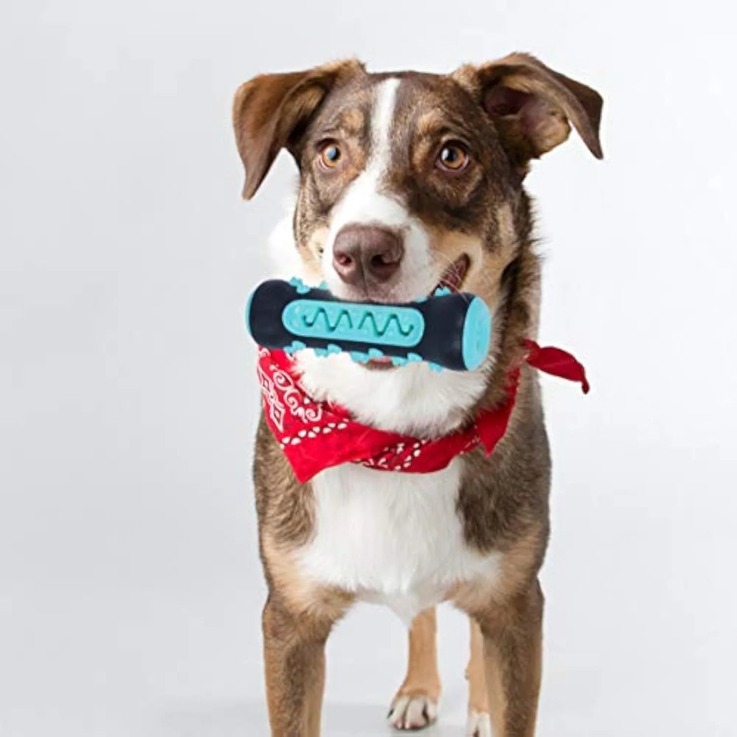 A natural rubber dog toothbrush chew toy in blue, measuring 15 cm long, for dental cleaning and play.