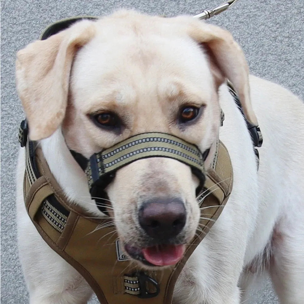 Reflective adjustable dog muzzle for medium large breeds in multiple colours