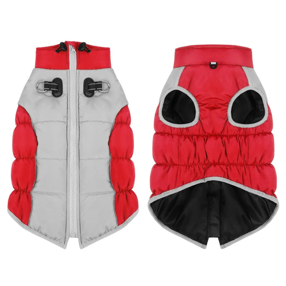 Windproof cotton dog winter coat for medium and large breeds in multiple colour options