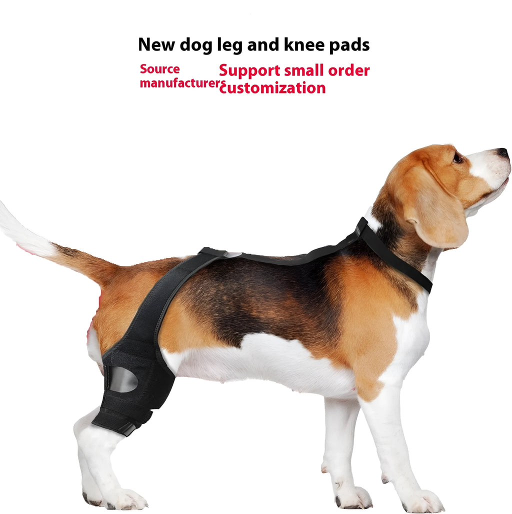 Adjustable neoprene dog hind leg knee brace assist strap in various colours