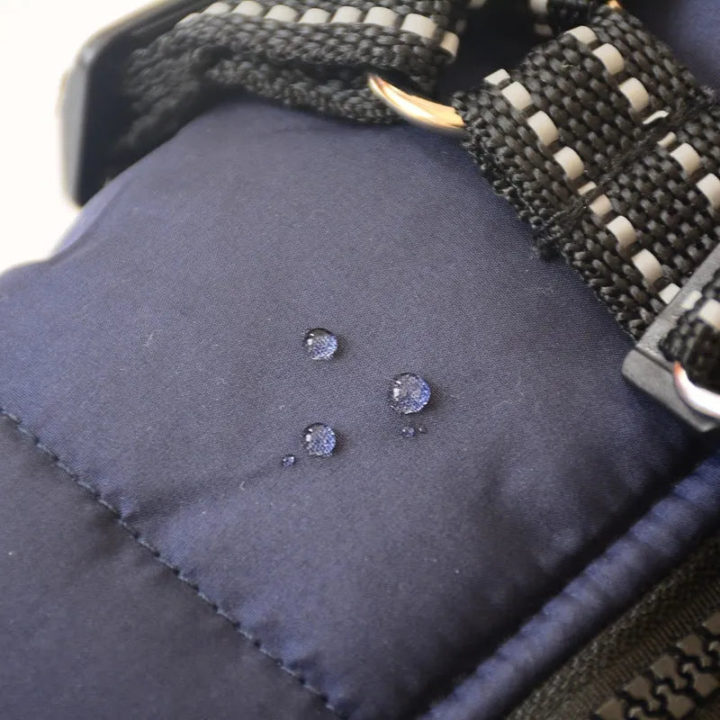 Small dog wearing a waterproof winter hooded coat jacket with reflective trim, adjustable strap, and high-quality zipper in blue colour