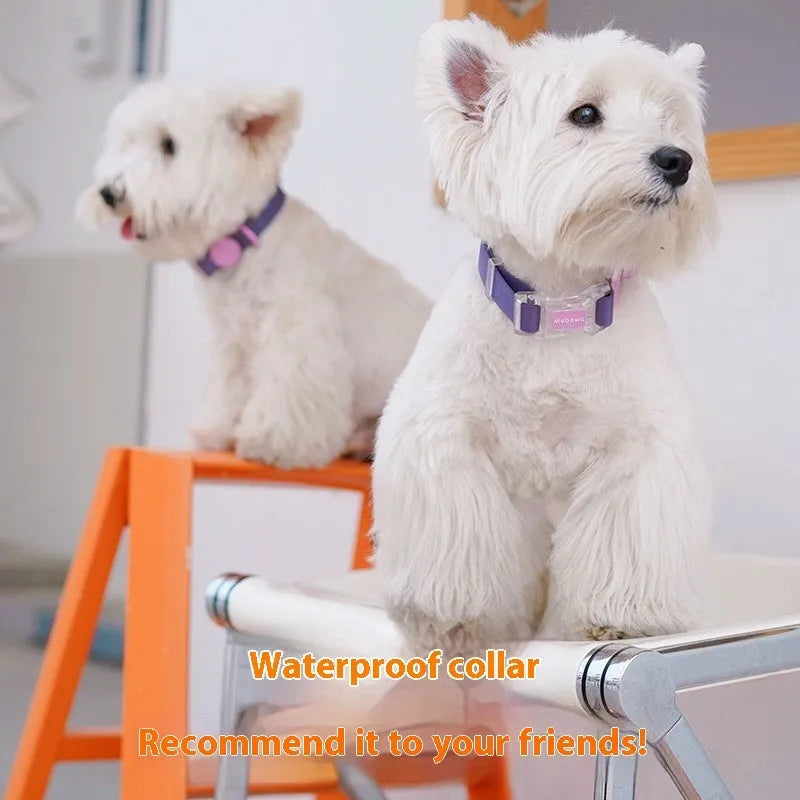 Nylon dog collar and hand holding rope set in four colour options with adjustable lengths