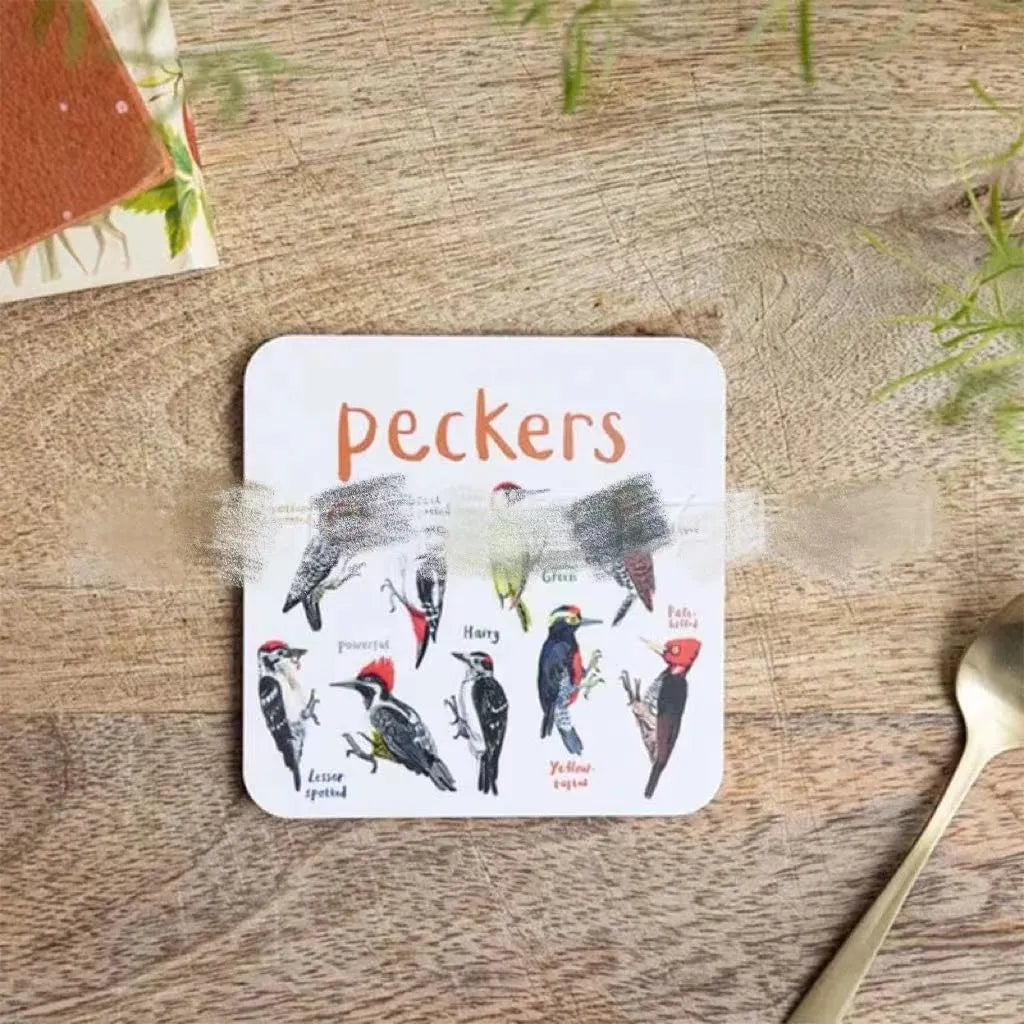 Set of 6 square bird pun coasters with PVC material, each featuring a different bird chart, 10x10x0.35 cm