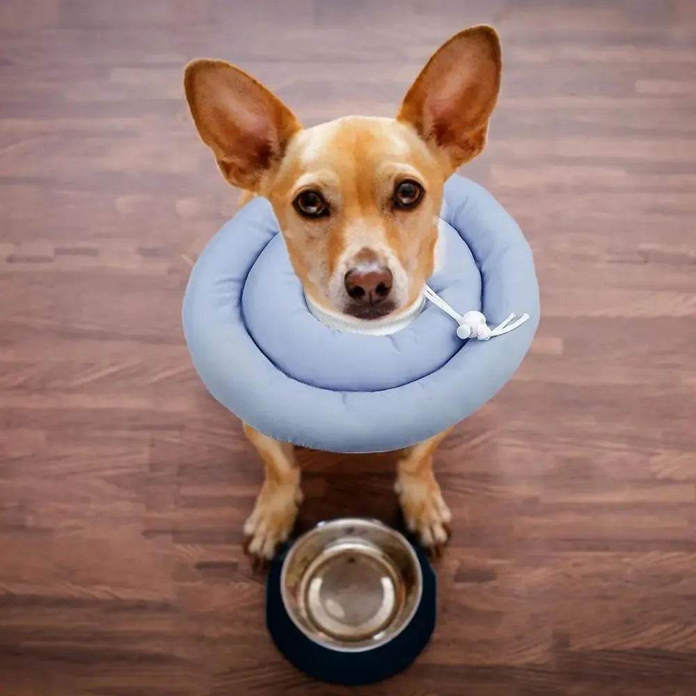 Blue adjustable Elizabethan cone collar for dog or cat wound recovery