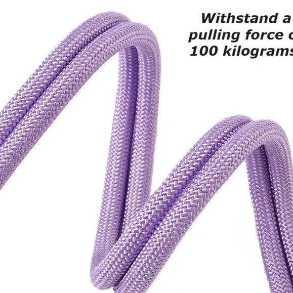 Nylon dog traction leash with foam handle showing colour options