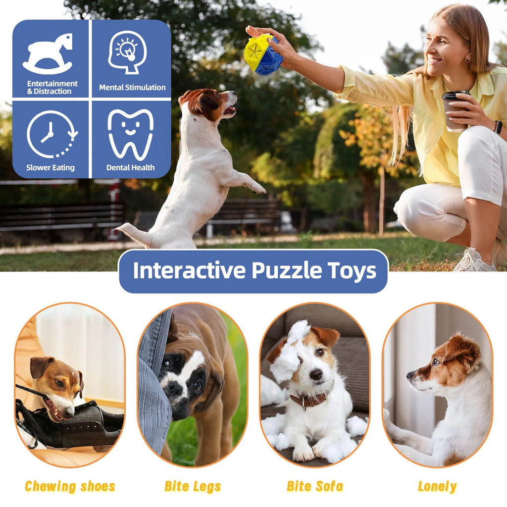 Blue and red hollow dog puzzle ball with treat-dispensing centre for interactive bite-resistant play.