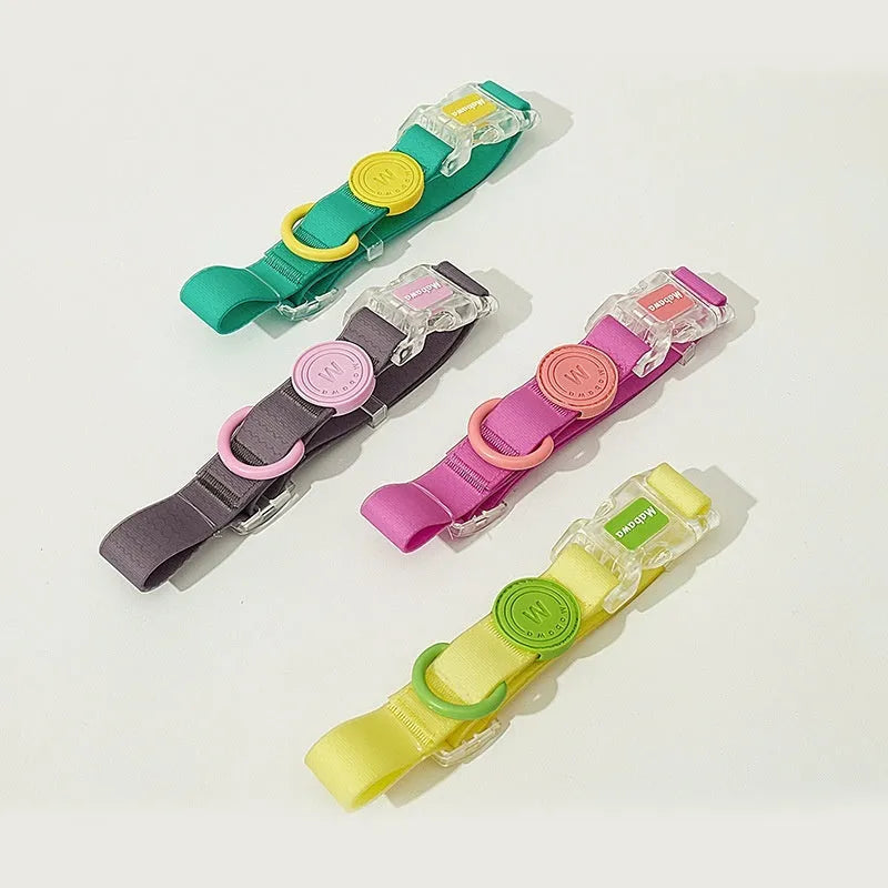 Nylon dog collar and hand holding rope set in four colour options with adjustable lengths