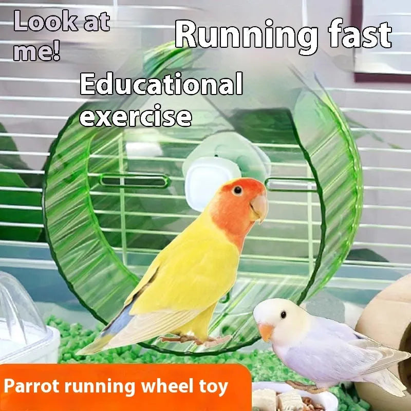 Plastic parrot running wheel toy for bird exercise in multiple colours and sizes