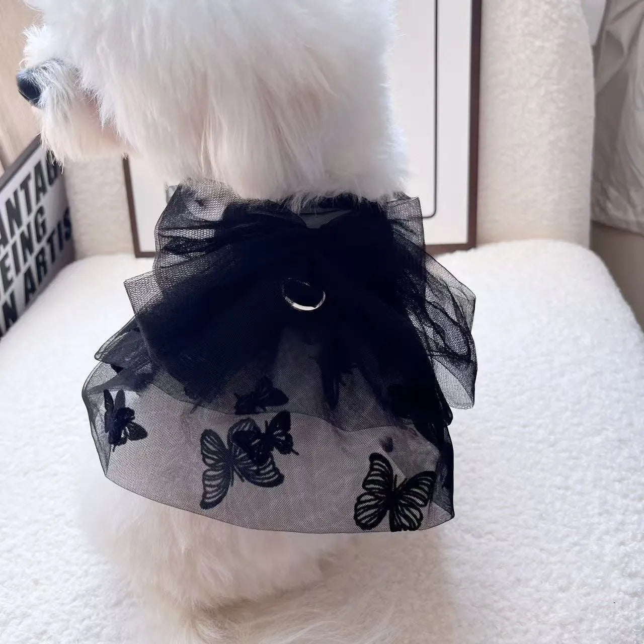 Black layered tulle princess skirt on a small dog, showing elastic waistband and tiered design.