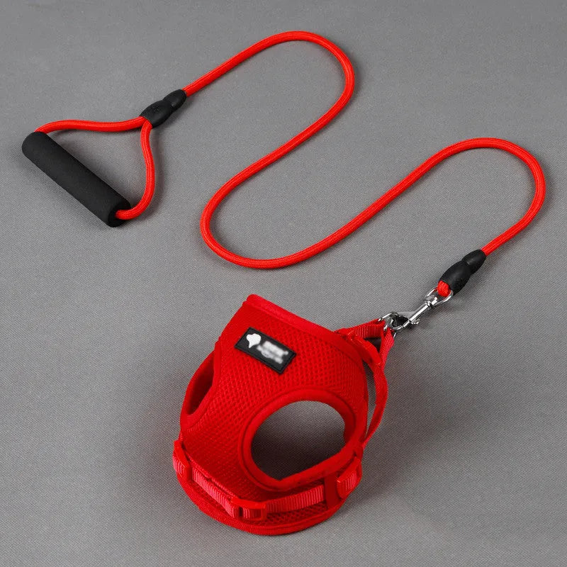 Blue dog leash and collar set with a foam handle for small dogs.