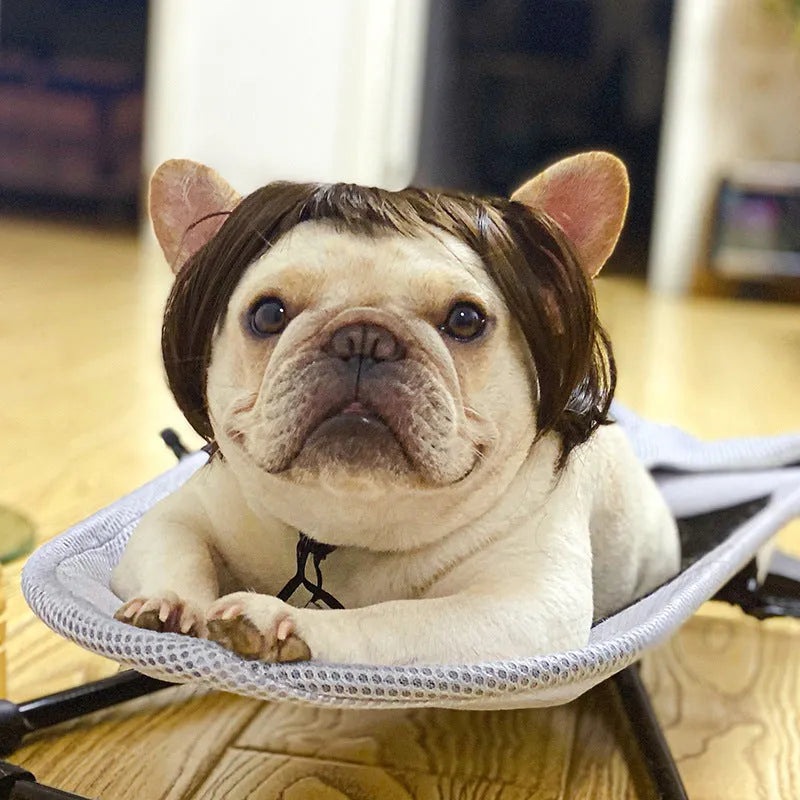 Adjustable pet wig sheath headdress for dogs and cats in multiple colours and styles