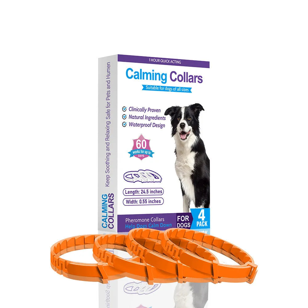 Pack of four solid-colour TPR dog calming collars with buckles, shown in assorted colours.
