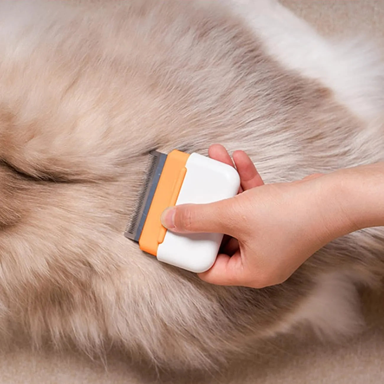 Blue double-sided pet grooming comb with stainless steel teeth on a wooden table