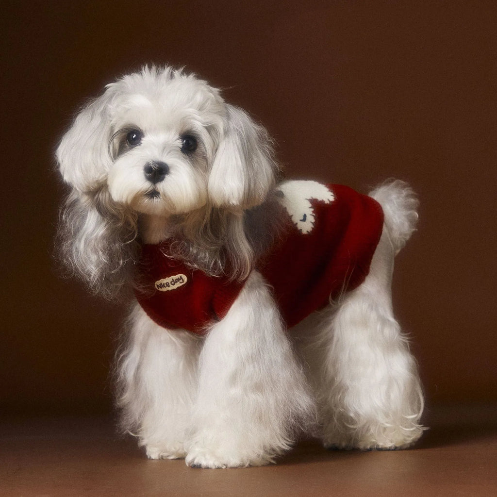 Red wool sleeveless dog vest for Schnauzer Teddy Bichon with ear clearance, casual style