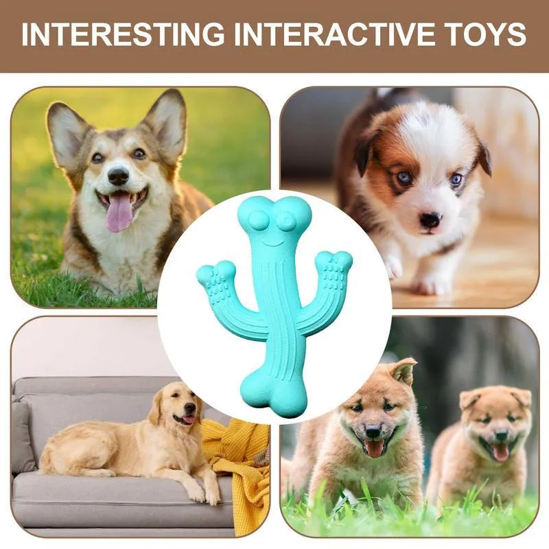 Cactus-shaped dog chew toy in bamboo fibre and rubber construction showing size comparison