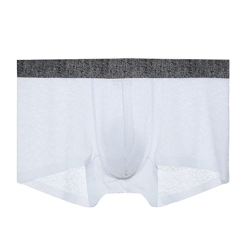 Men's seamless lace boxer briefs in low-waist design, showing thin transparent fabric.