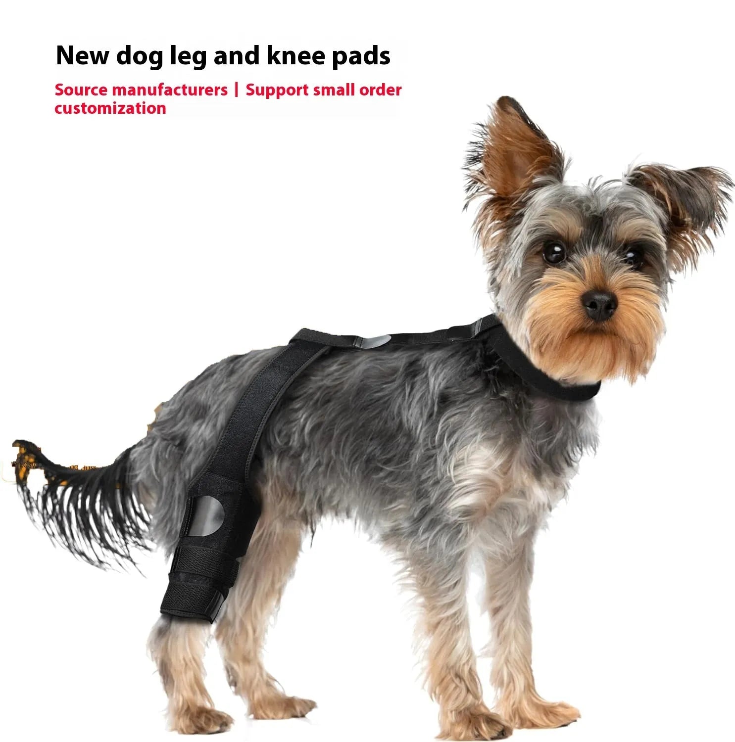 Adjustable neoprene dog hind leg knee brace assist strap in various colours
