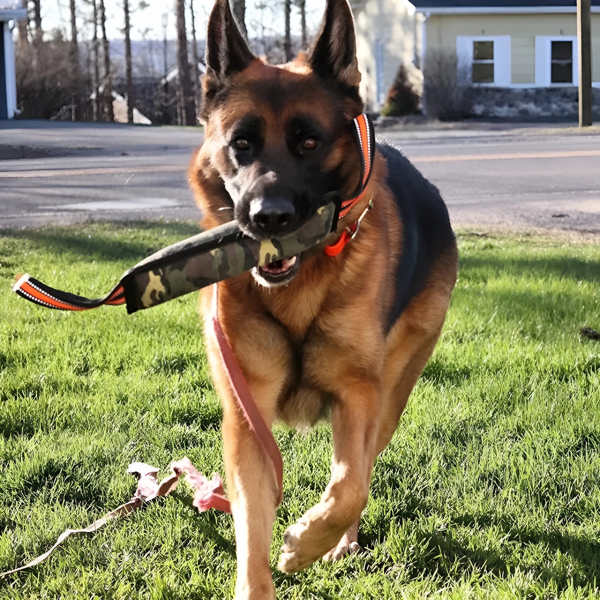 Yellow-edged jute dog training bite stick showing reflective stitching and 55cm length