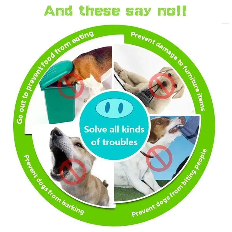 Silicone dog anti-bite mouth cover in blue and green colours showing two size options