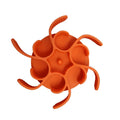 Red silicone dog slow feeder insert with spiral design and suction cups on base