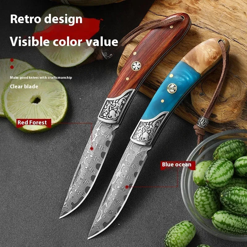 VG10 folding mini outdoor knife showing stainless steel blade and dovetail pattern in blue or red