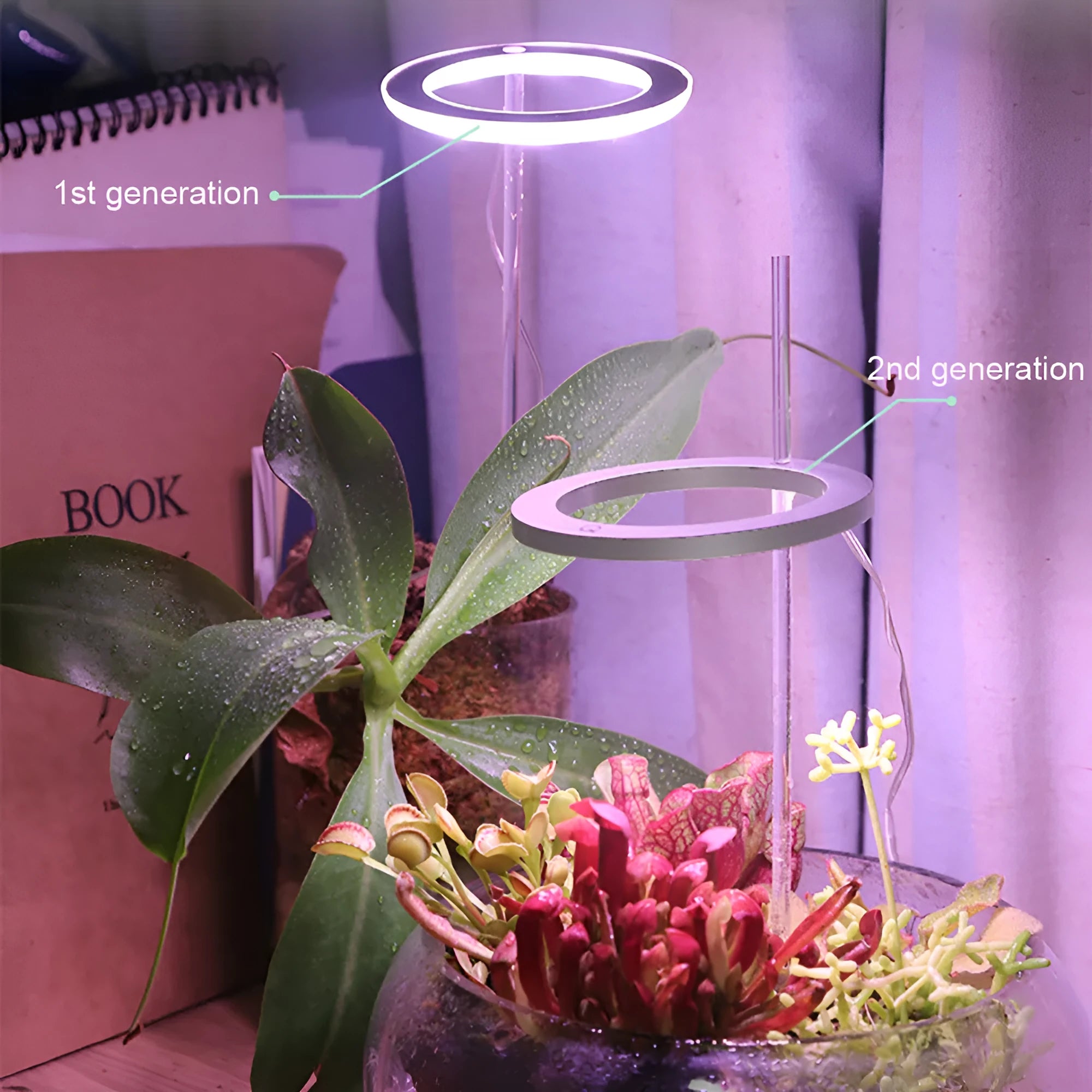 Small circular USB LED angel ring grow light for indoor plants on a desk.