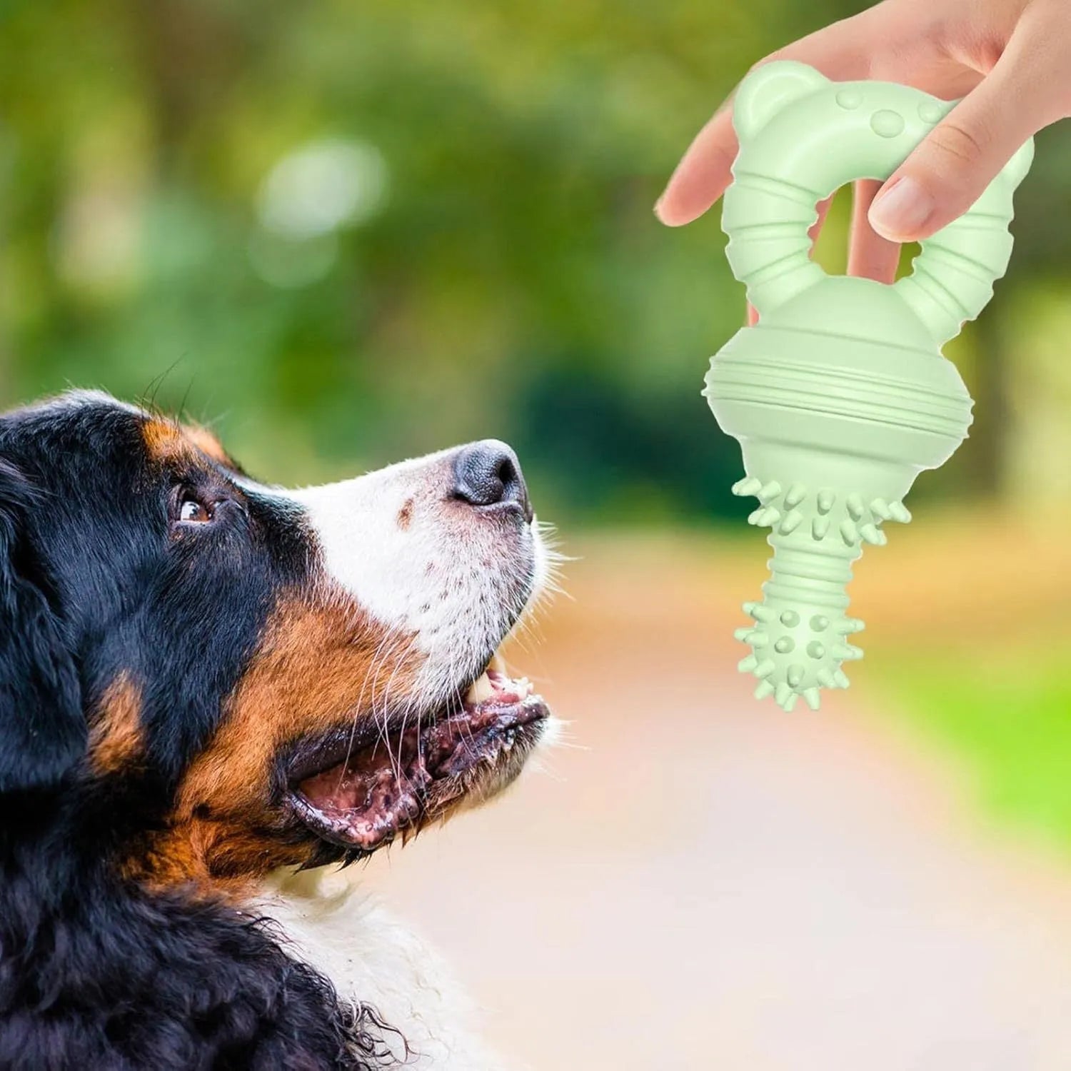 Blue rubber molar clean dog chew toy with bell shape and textured concave-convex surface.