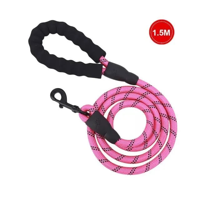 Reflective luminous nylon dog leash 1.5m length 0.8cm width in blue for small medium pets