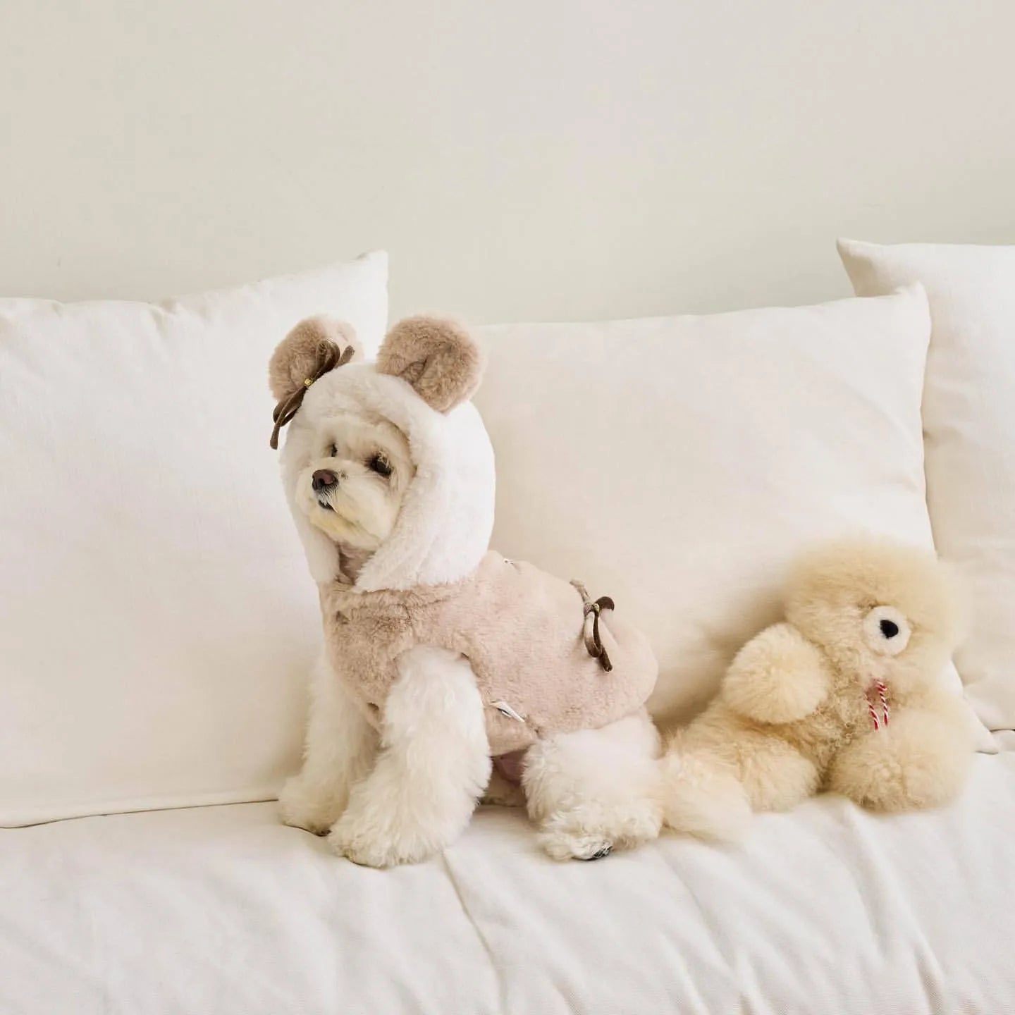 Light pink polyester dog coat shown on a pet, with casual styling and size tags for XS to XL.