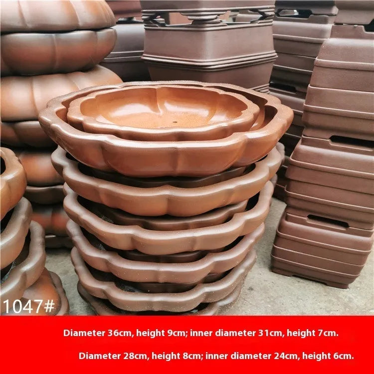 Purple sand round flower pot in red colour, 35-40cm height, for small begonia tree display on desktop