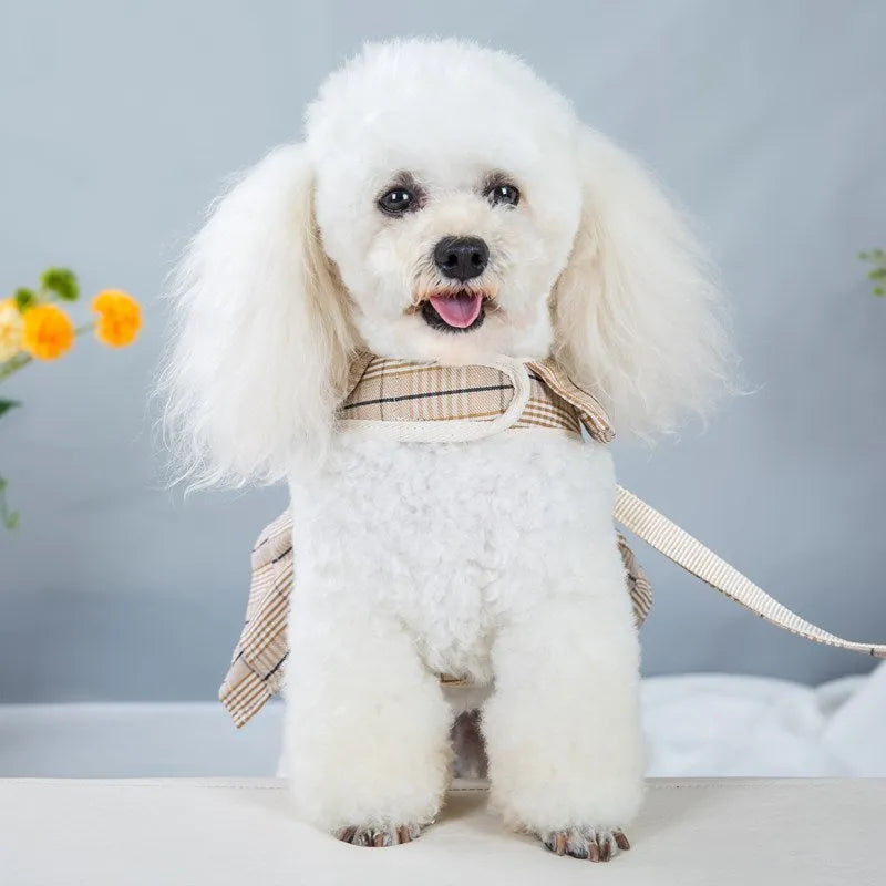 Pet walking vest with chest strap and hand holding rope in beige or purple polyester