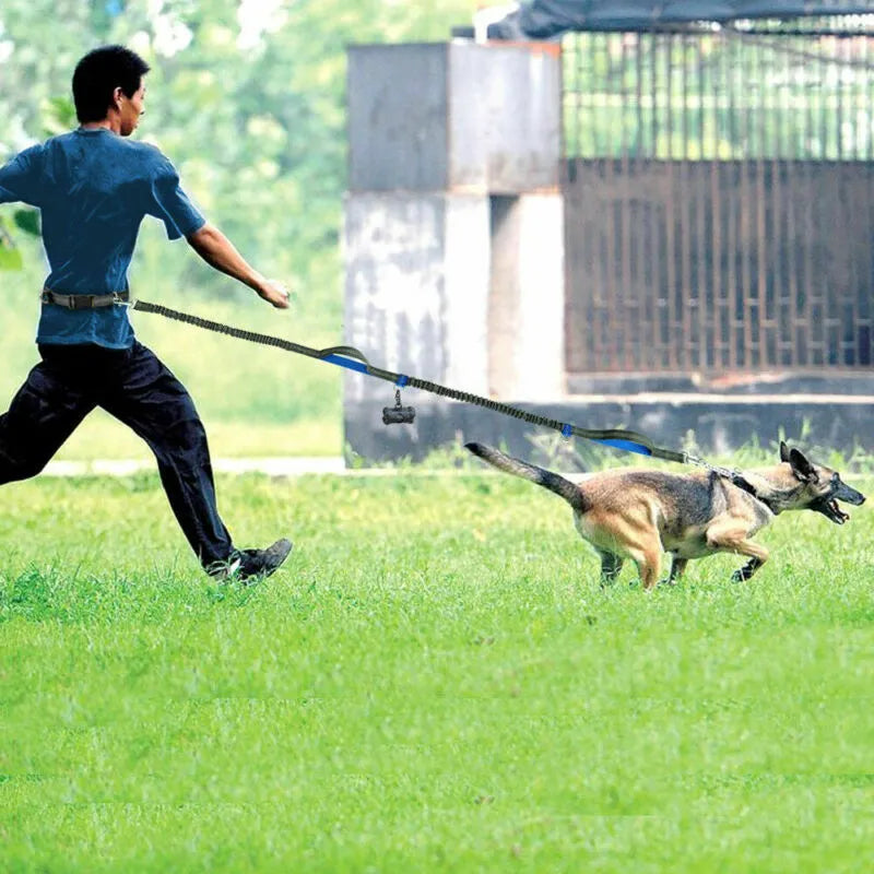 Reflective hands-free dog lead with elastic bungee, waist belt and phone pocket, adjustable 160-260cm