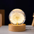 Luminous dandelion crystal ball night light on a beech wood stand, USB powered.