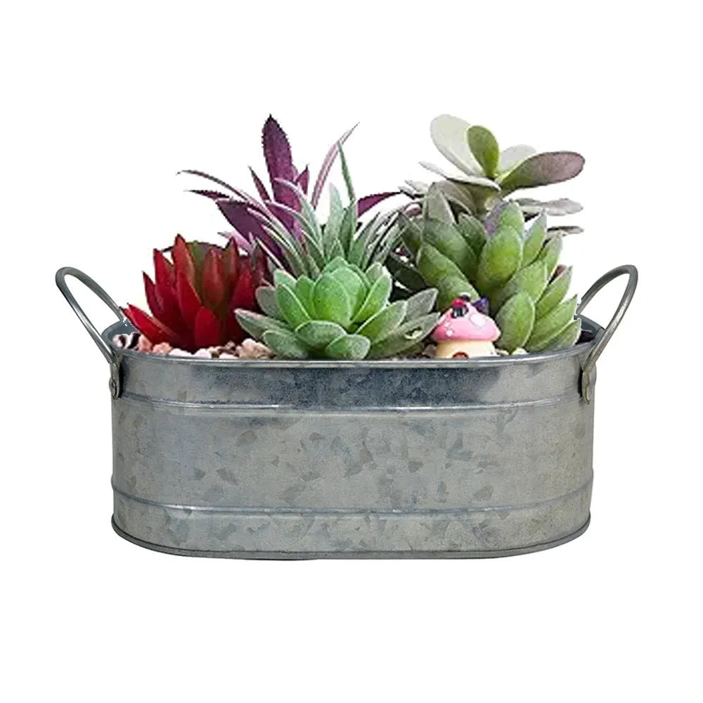 White square iron succulent flowerpot for desktop use, 10cm wide.