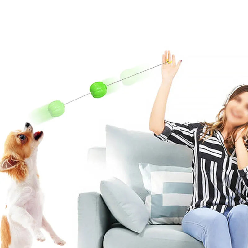 Orange plastic pumpkin-shaped dog toy with squeaker for small dogs on a green background.