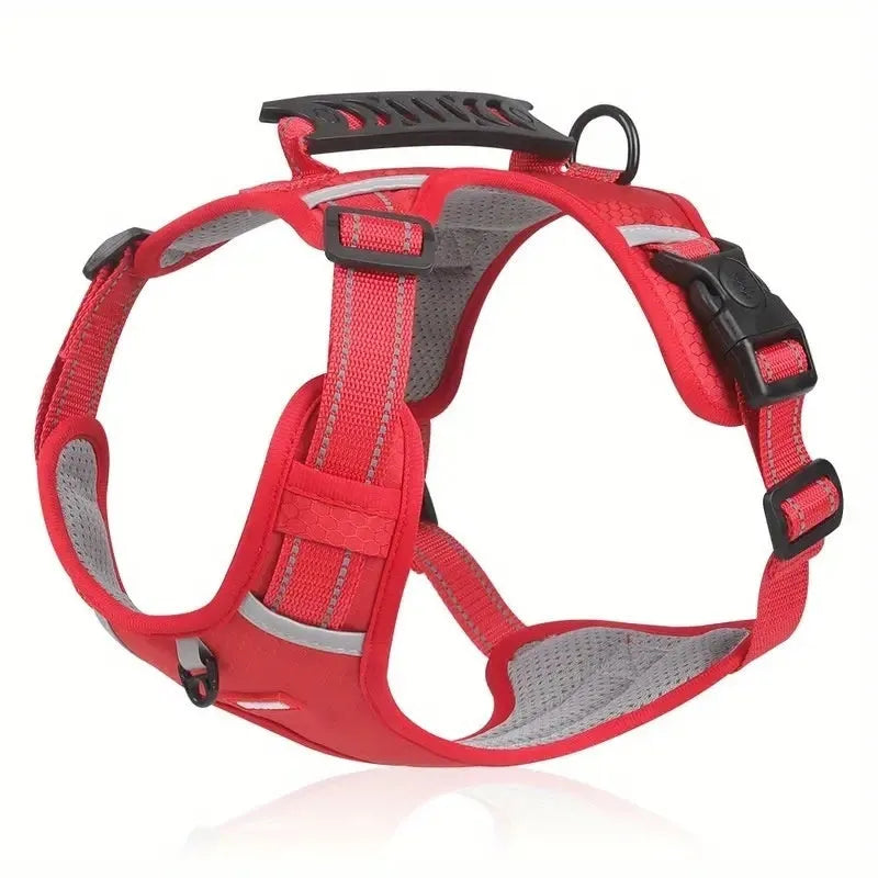 A Lake Blue coloured dog harness and lead set showing the Y-shaped front and adjustable straps on a model.