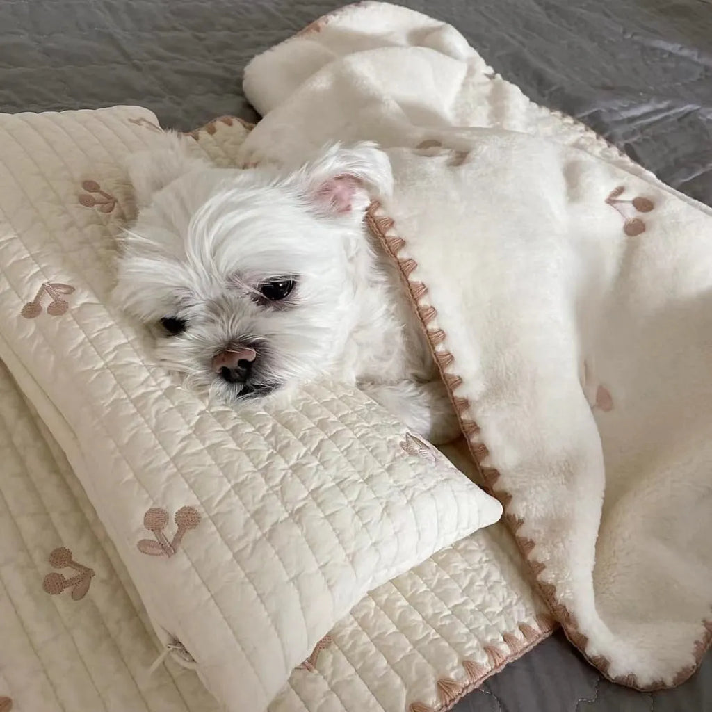 Simple Bear design dog bed set with pillow, mattress, and washable comforter in fashion square mat style