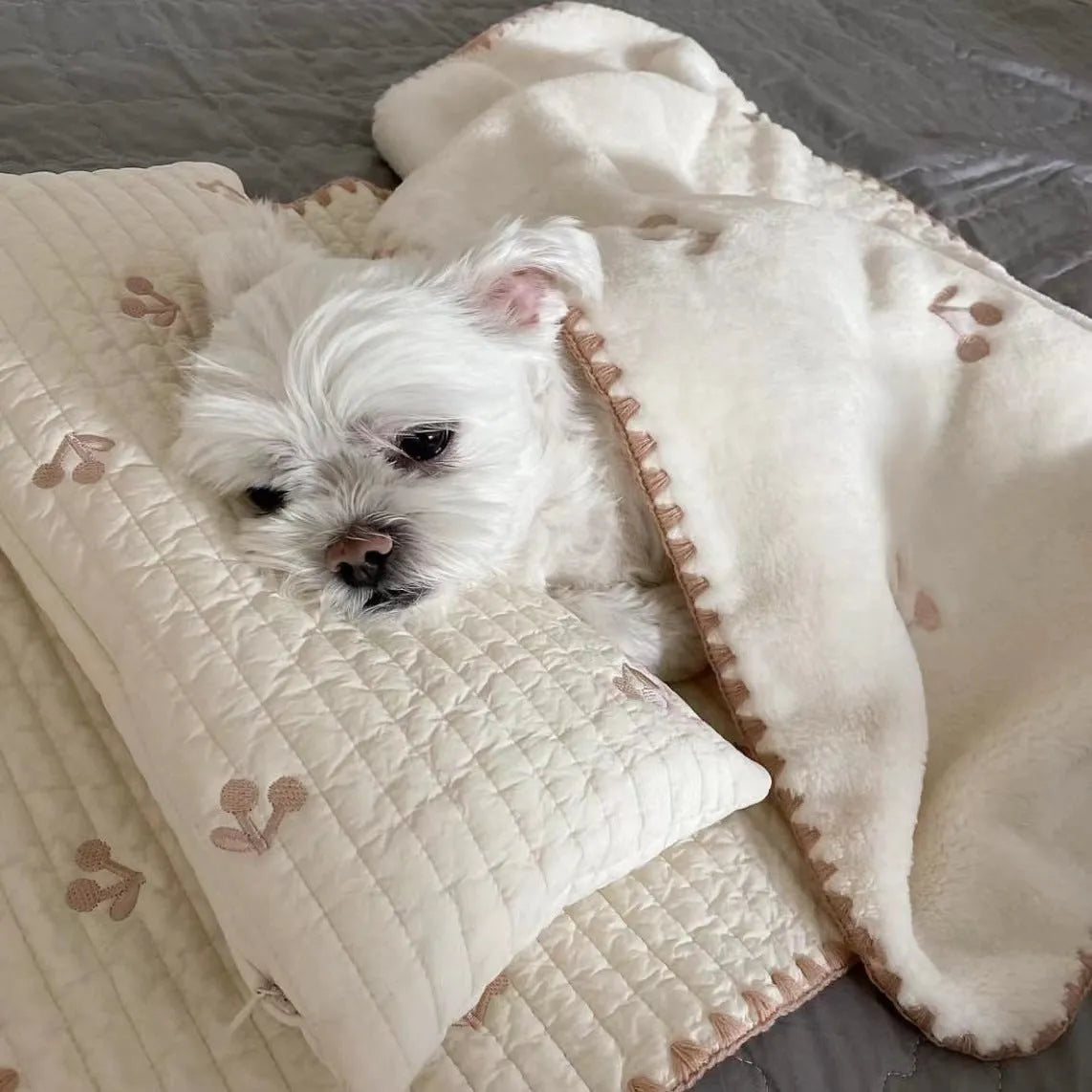 Simple Bear design dog bed set with pillow, mattress, and washable comforter in fashion square mat style