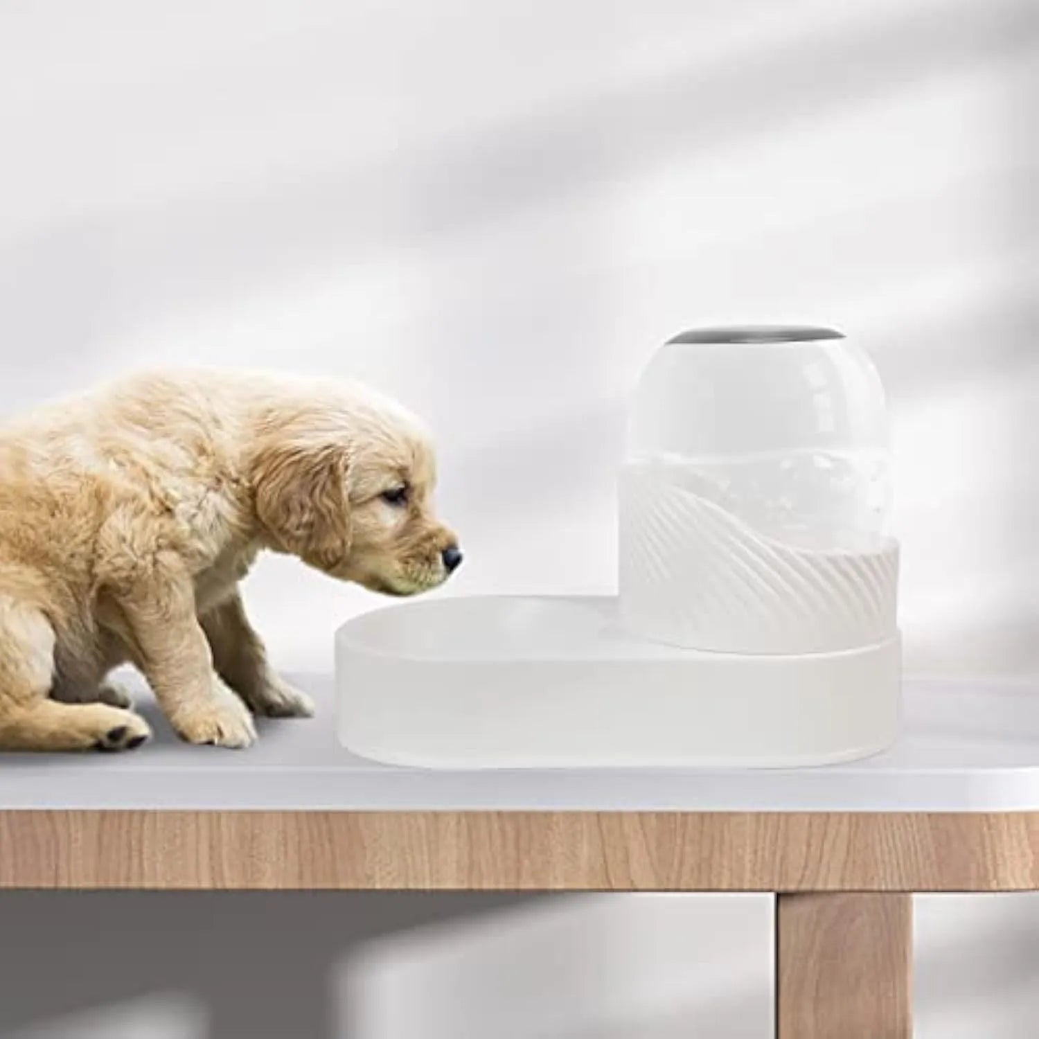 Pure white gravity cat feeder and water dispenser set with wave-shaped shell.