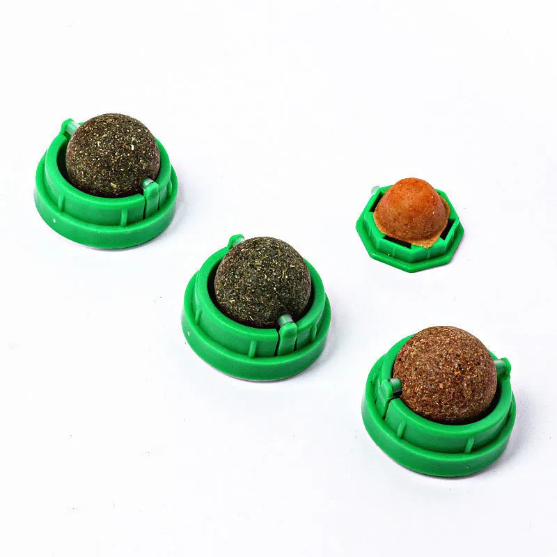 Plastic catnip ball toy for dental care in various colours with textured chewing surface