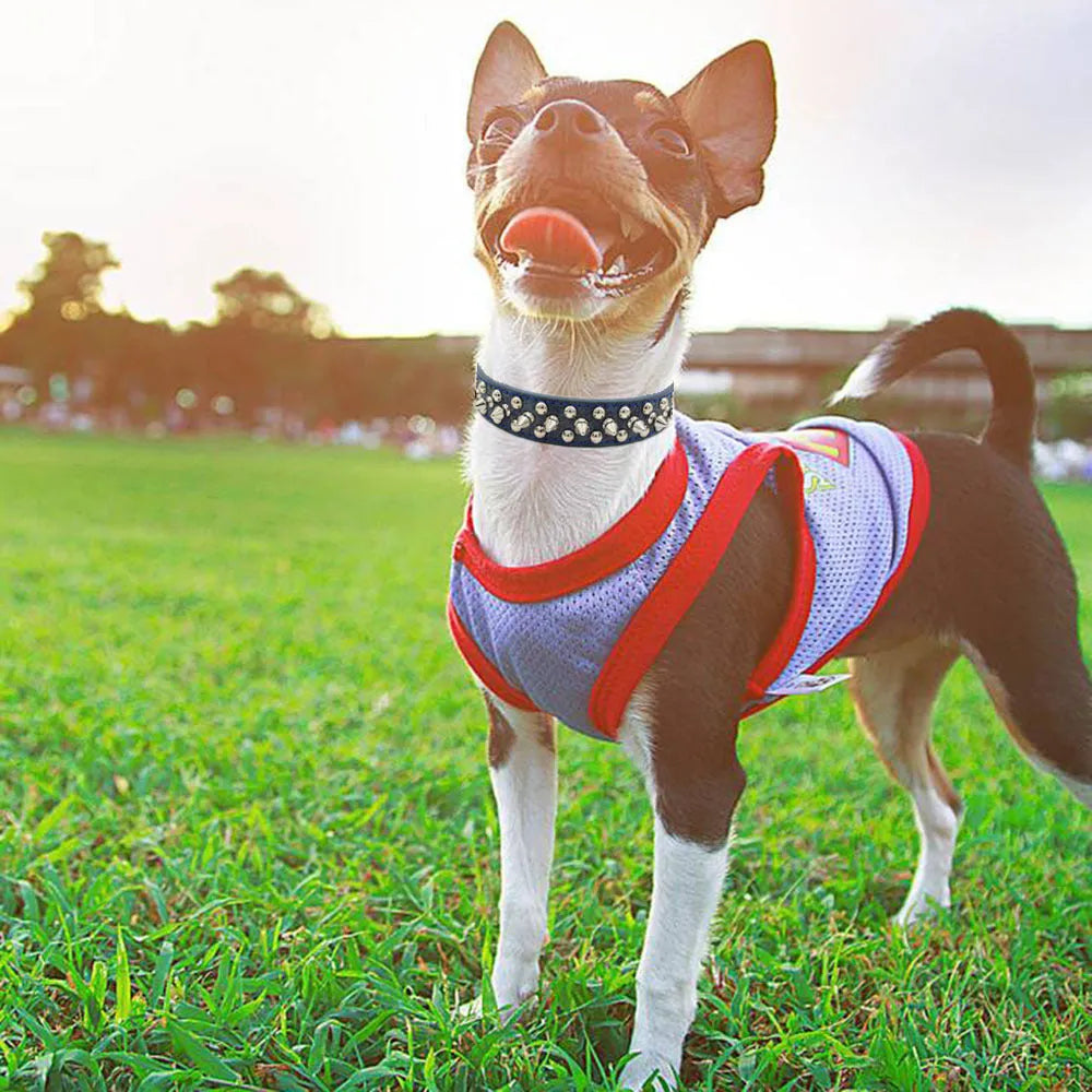 Adjustable PU rivet dog collar in multiple sizes from XS to XL, shown in black with silver rivets, on white background.